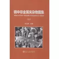 醉染图书钢中非金属夹杂物图集(上)9787502482404