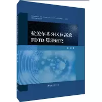 醉染图书拉盖尔基分区及高效FDTD算法研究9787568410953