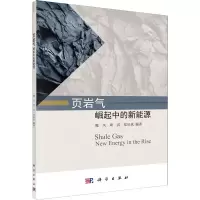 醉染图书页岩气 崛起中的新能源9787030642011