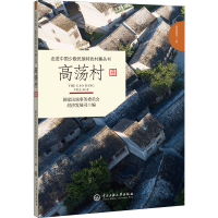 醉染图书高荡村9787566019486