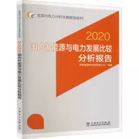醉染图书国内外能源与电力发展比较分析报告 20209787519851507