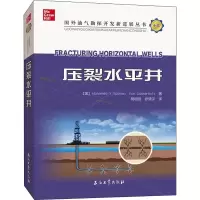 醉染图书压裂水平井9787518342594
