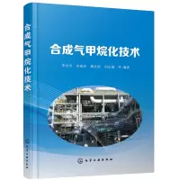 醉染图书合成气甲烷化技术978712734