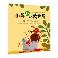 醉染图书小昆虫的大世界:的小瓢虫9787559535375