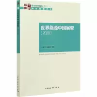 醉染图书世界能源中国展望(2020)9787520368698