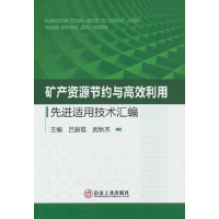 醉染图书矿产资源节约与高效利用适用技术汇编9787502490485