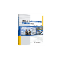 醉染图书供电企业小型分散作业关键风险管控9787519844271
