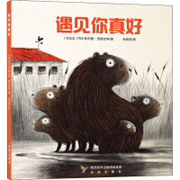 醉染图书遇见你真好9787541771279