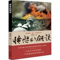 醉染图书愤怒的钢铁9787530679357