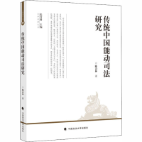 醉染图书传统中国能动司法研究9787562093725
