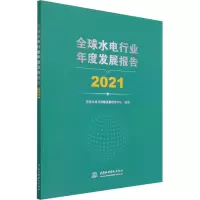 醉染图书全球水电行业年度发展报告 20219787522603261