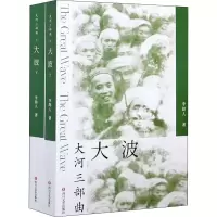 醉染图书大波(全2册)9787541156601