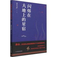 醉染图书闪烁在大地上的星宿9787531751885
