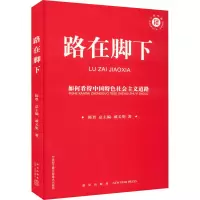 醉染图书路在脚下 如何待特色社会主义道路9787513346481