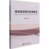 醉染图书事故致因理论发展概述9787562549420