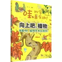 醉染图书向上吧,植物9787518343751