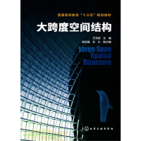 醉染图书大跨度空间结构(王秀丽)9787122286826