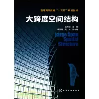 醉染图书大跨度空间结构(王秀丽)9787122286826