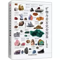 醉染图书矿物与岩石完全图鉴 全新升级版9787571326012