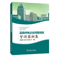 醉染图书县级供电企业同期线损管理案例集9787519853075