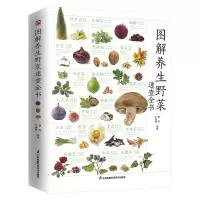 醉染图书图解养生野菜速查全书9787571325466