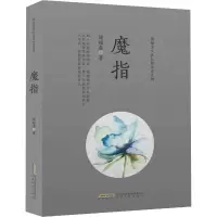 醉染图书魔指9787539664965