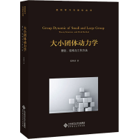 醉染图书大小团体动力学 理论、结构与工作方法9787303253760