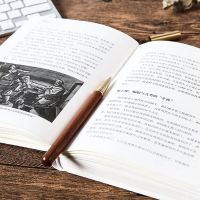 醉染图书人类大瘟疫 一个世纪以来的全球流行病9787521716269