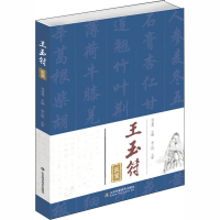 醉染图书王玉符医案978757016