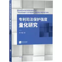 醉染图书司法保护强度量化研究9787513068321