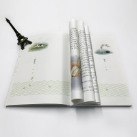 醉染图书猫 青少版9787538697209