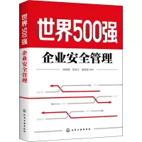 醉染图书世界500强企业安全管理9787120066