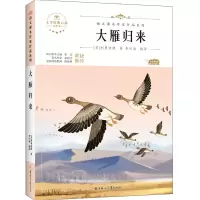 醉染图书大雁归来9787558553141