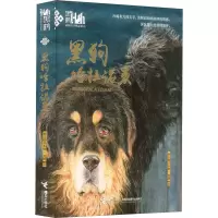 醉染图书黑狗哈拉诺亥9787544843997