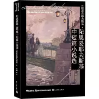 醉染图书陀思妥耶夫斯基中短篇小说选9787020166091