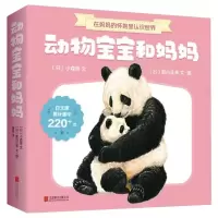 醉染图书动物宝宝和妈妈(全7册)9787559618283