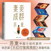 醉染图书妻妾成群9787213106743