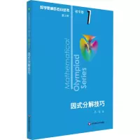 醉染图书因式分解技巧9787567597341