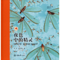 醉染图书夜色中的精灵9787568914963