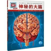 醉染图书神秘的大脑 学生版9787556432059