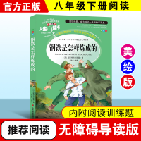 醉染图书钢铁是怎样炼成的:优选本9787533041892