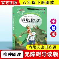 醉染图书钢铁是怎样炼成的:优选本9787533041892