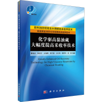 醉染图书化学驱高黏油藏大幅度提高采收率技术9787030671059