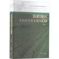 醉染图书铁岭地区青铜时古遗址调查9787205092504