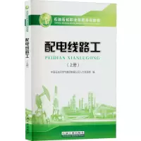 醉染图书配电线路工(上册)9787518346776