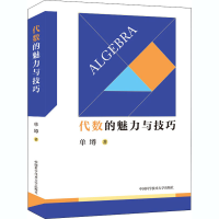 醉染图书代数的魅力与技巧9787312050671