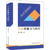 醉染图书代数的魅力与技巧9787312050671