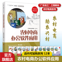 醉染图书农村电商办公软件应用9787535976611