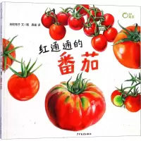 醉染图书红通通的番茄9787558901065