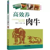 醉染图书高效养肉牛9787111483755